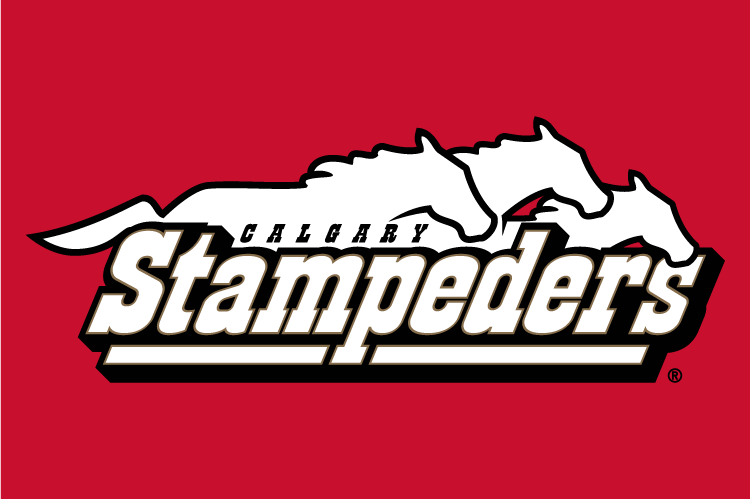 calgary stampeders 2000-2011 wordmark logo v4 t shirt iron on transfers